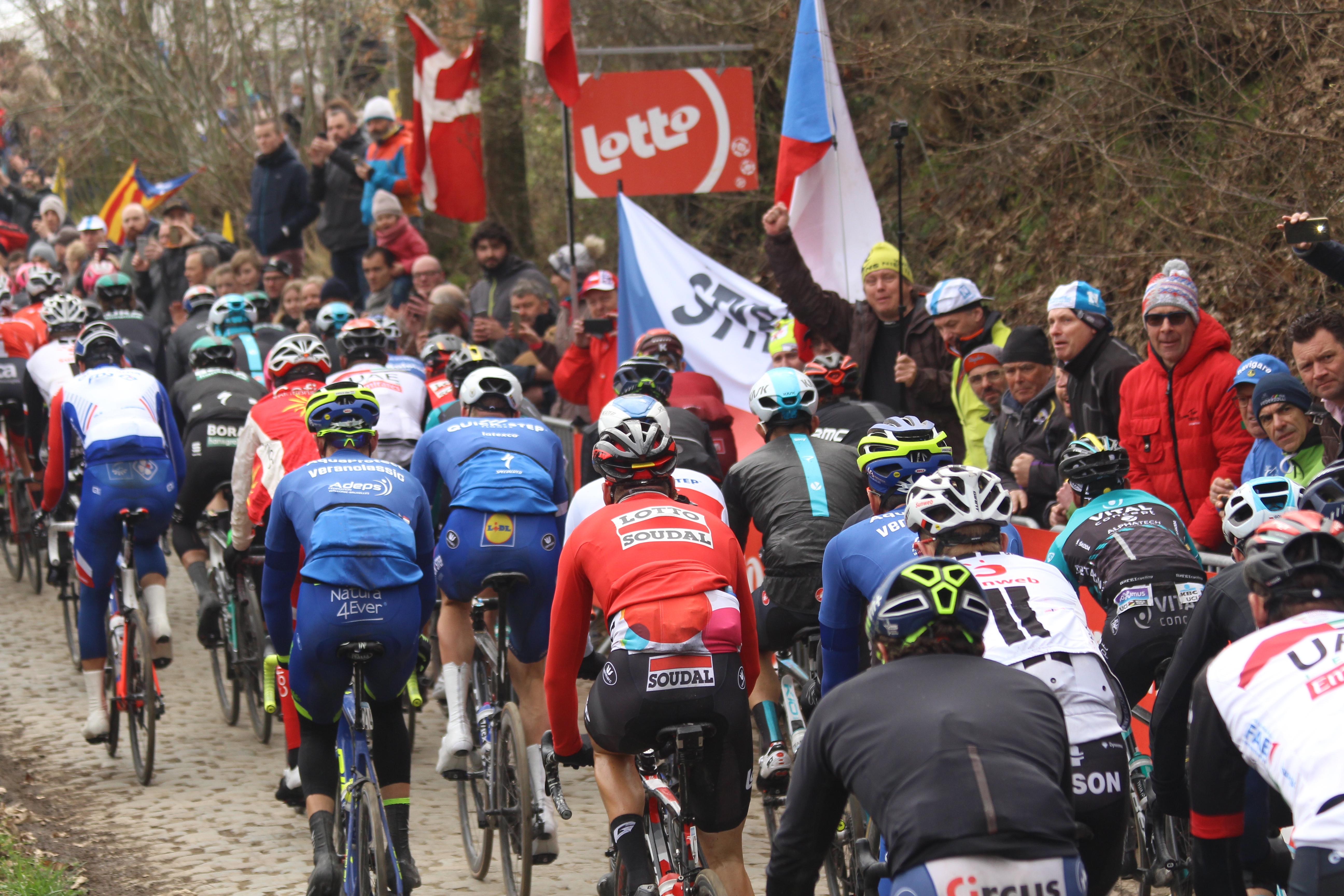 Cyclists in Tour of Flanders