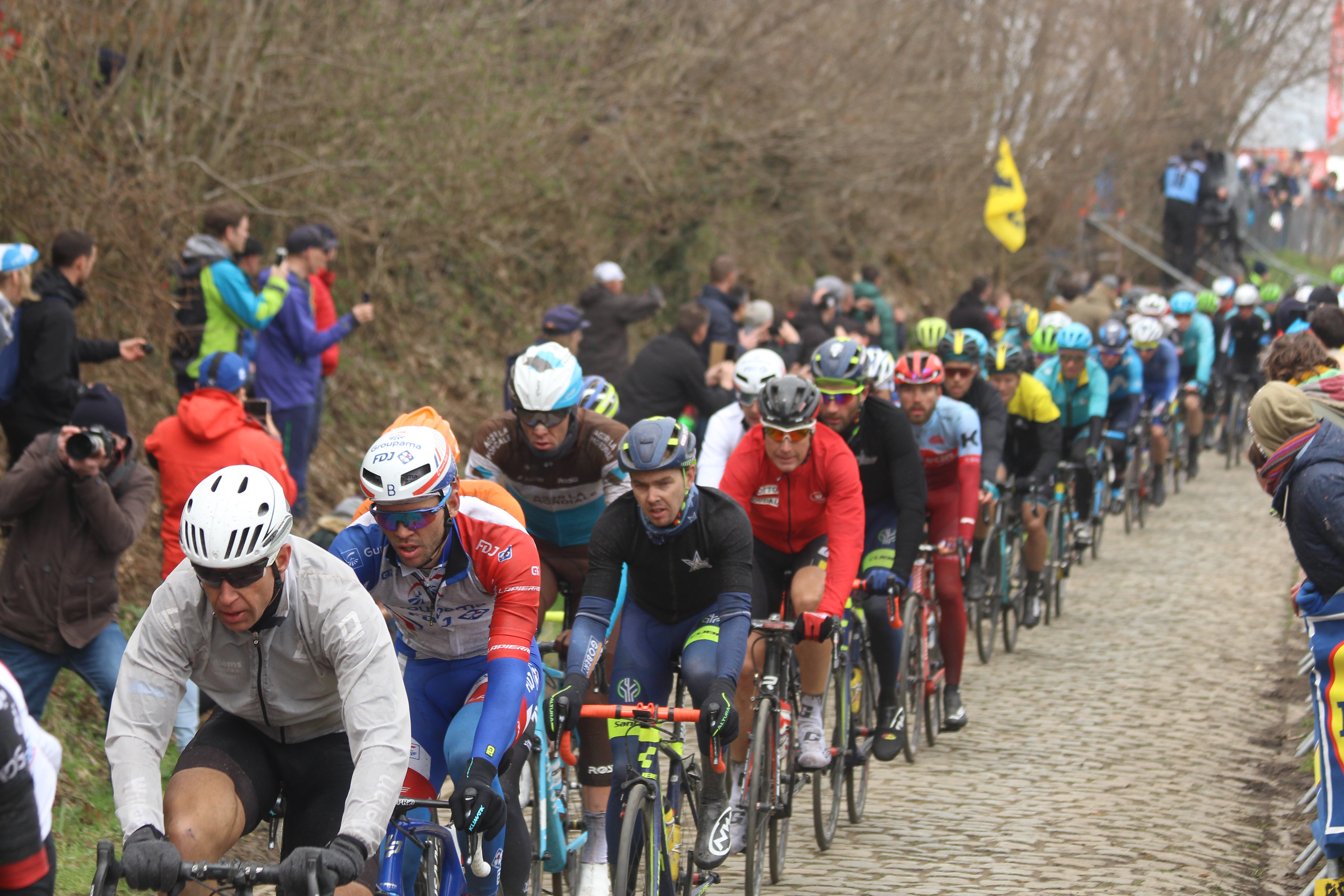 Cyclists in Tour of Flanders