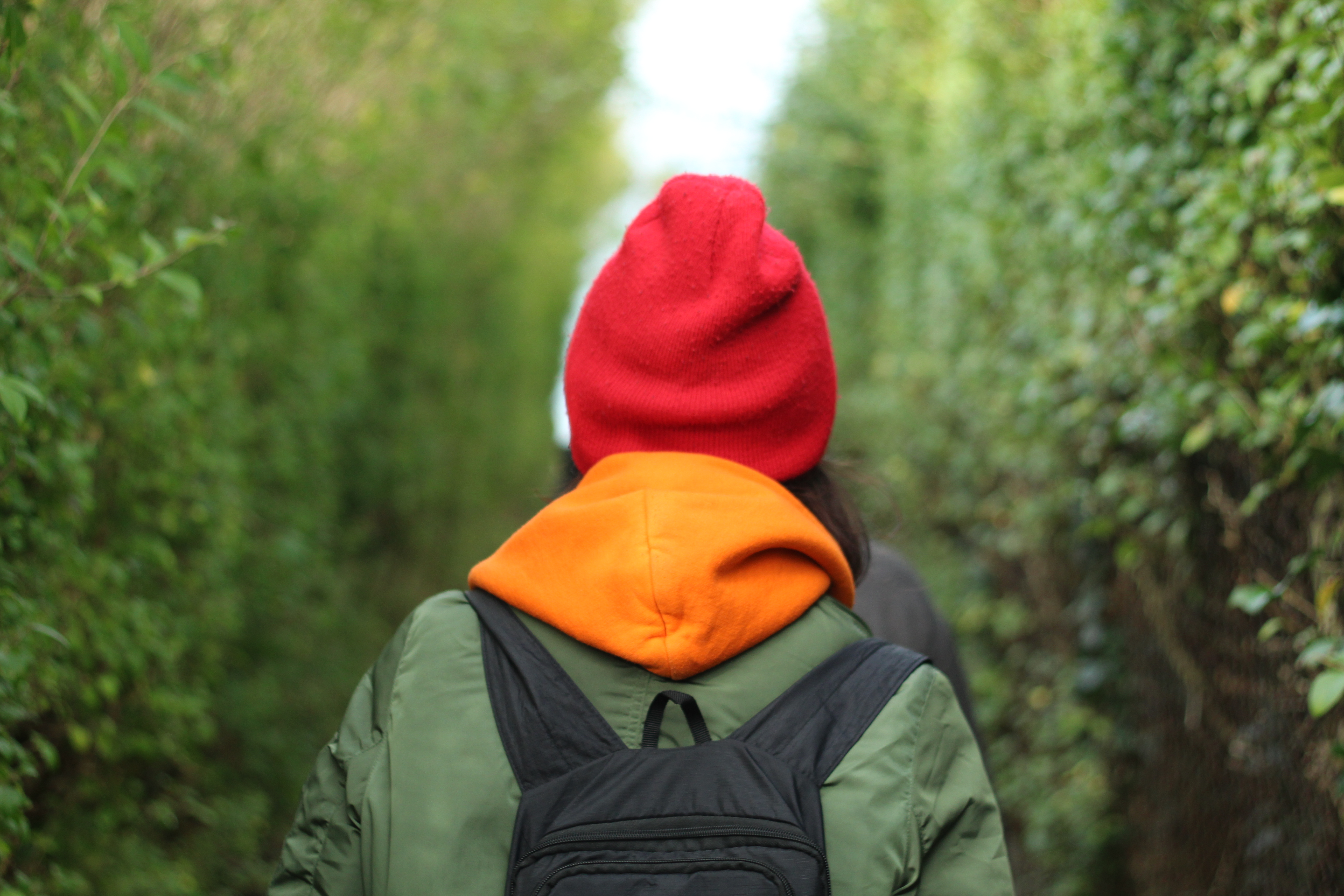 Back of a person