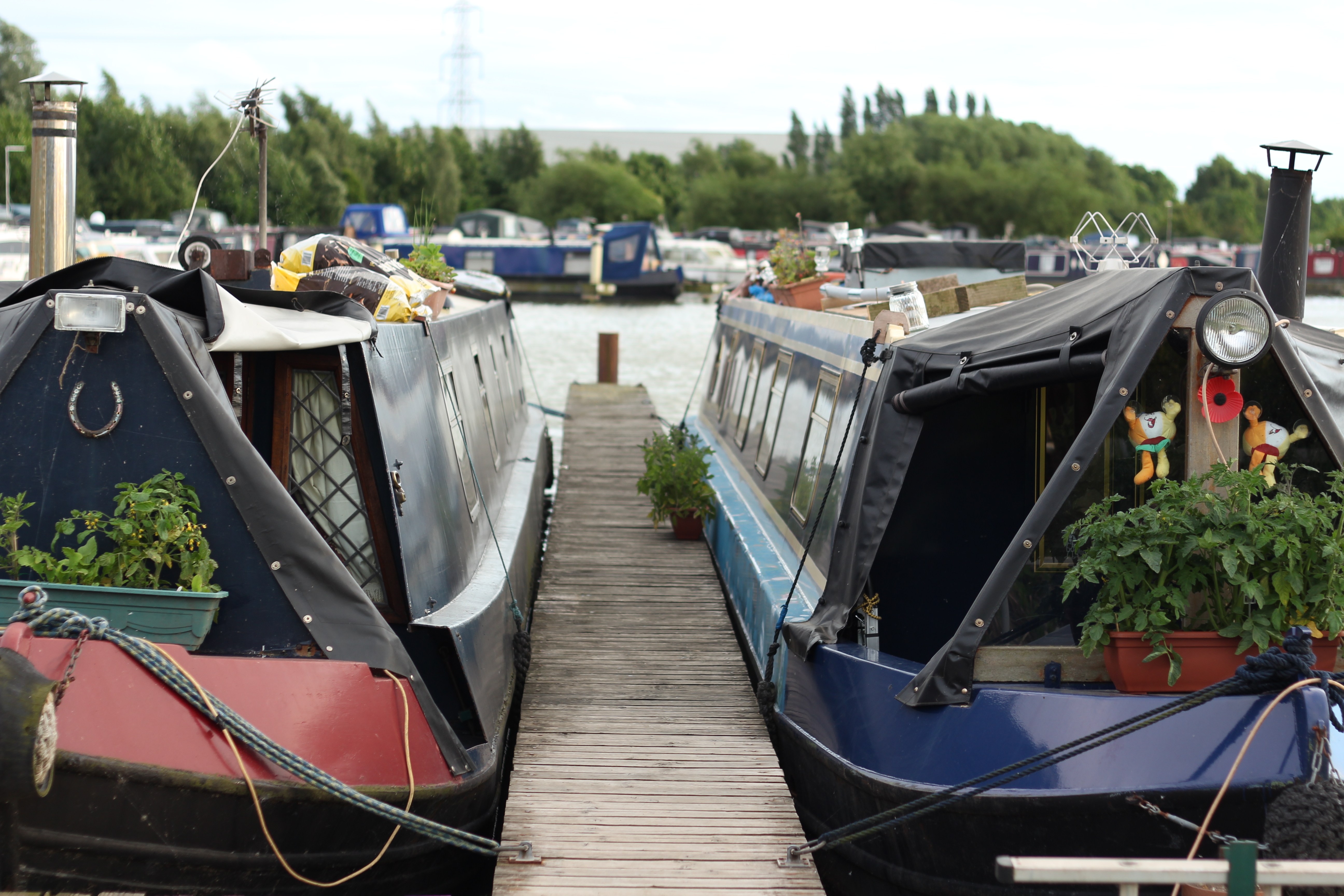 Canal boats